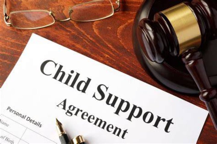 Can you settle child support arrears in Florida?