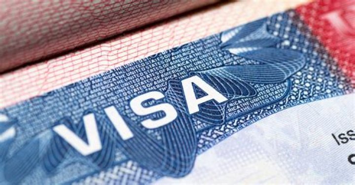 Can you work on an E-3 visa?