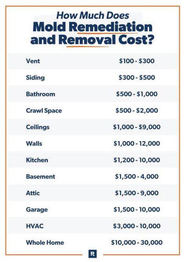 Can you write off mold remediation?