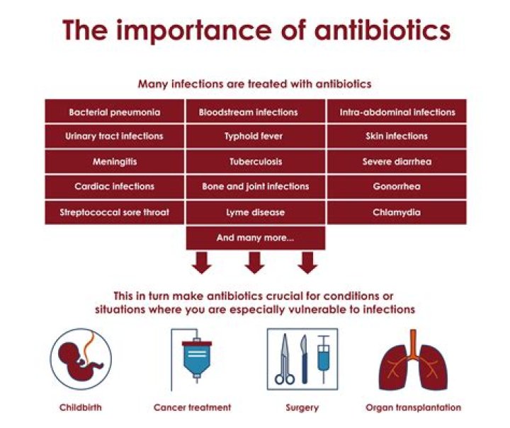 Do antibiotics cure TB?