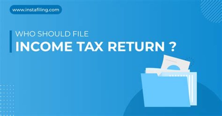 Do Florida LLCs file a tax return?