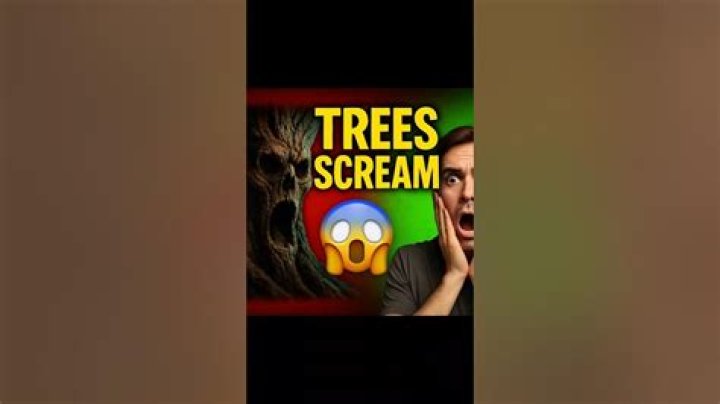Do trees scream when you cut them?
