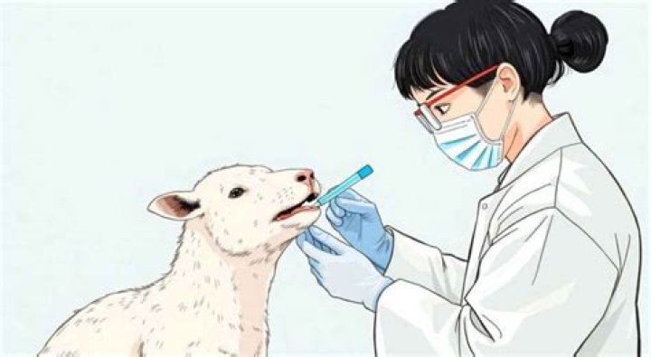 Does Cetaphil test on animals?