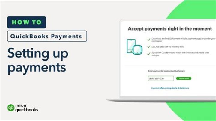 How do I classify IRS payments in QuickBooks?