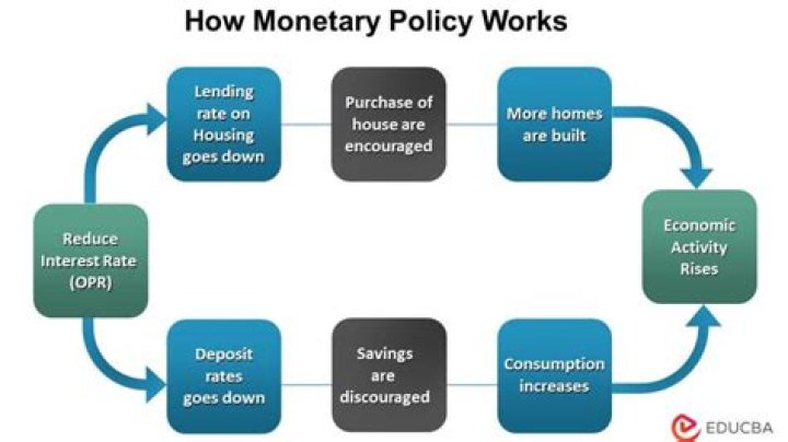 How does government grant money work?