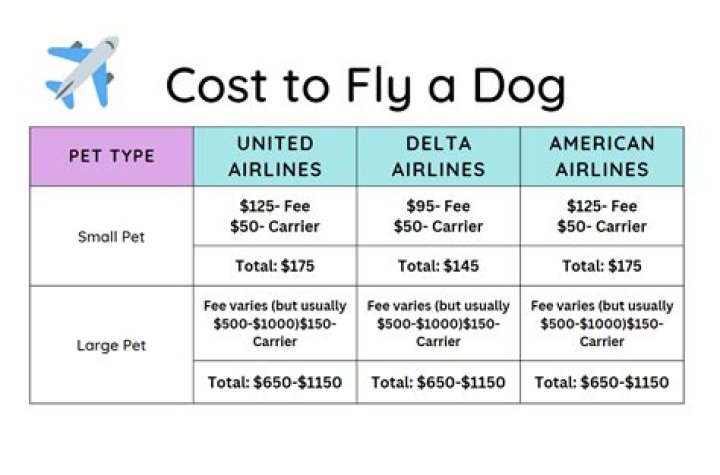 How much does it cost to fly with Bezos?