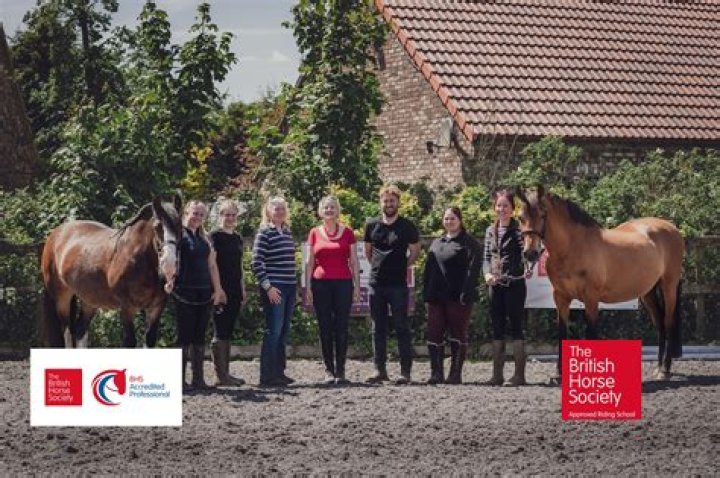 Is a horse riding school profitable?