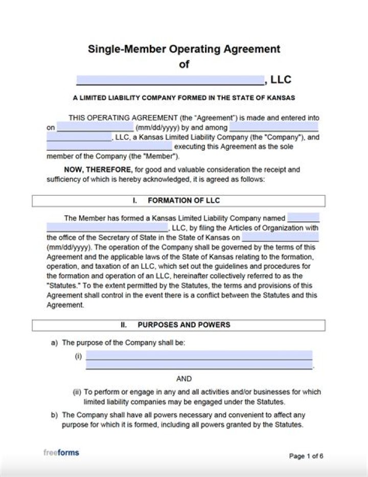 Is a single-member LLC an individual?