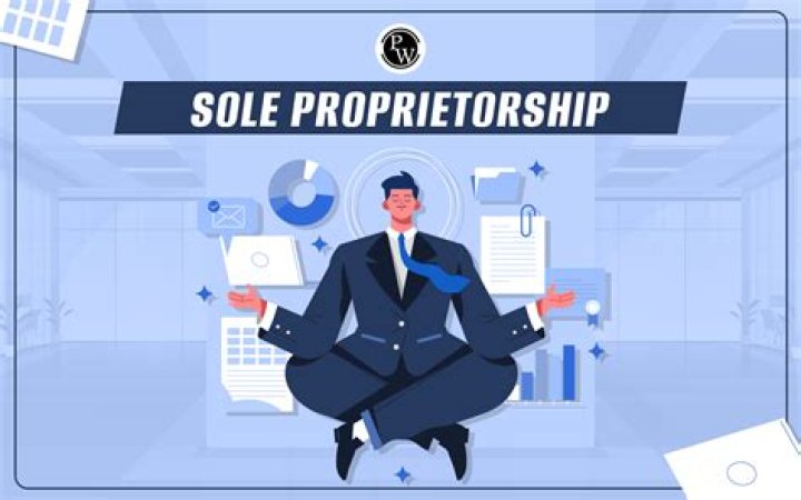 Is consulting a sole proprietor?