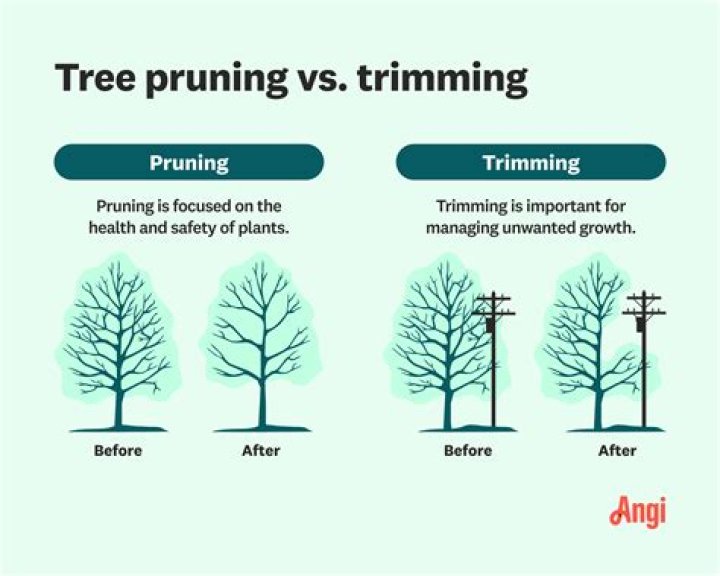 Is tree trimming a profitable business?