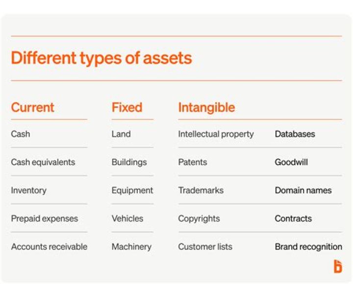 Is vacation an asset?