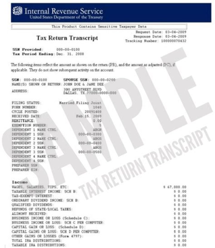 What does a tax return transcript look like?