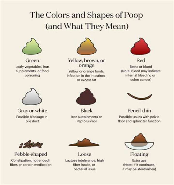 What does it mean when your poop looks like algae?