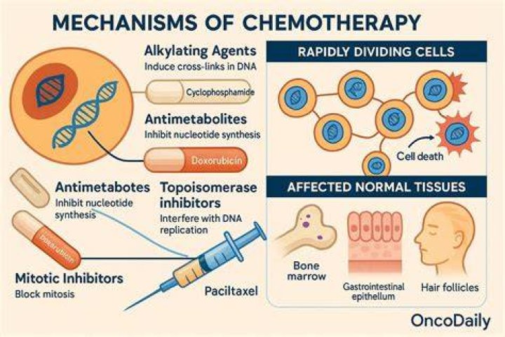 What does long-term chemotherapy do to you?