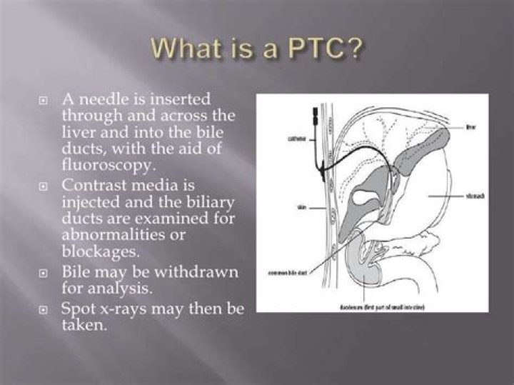 What does PTC mean in insurance?