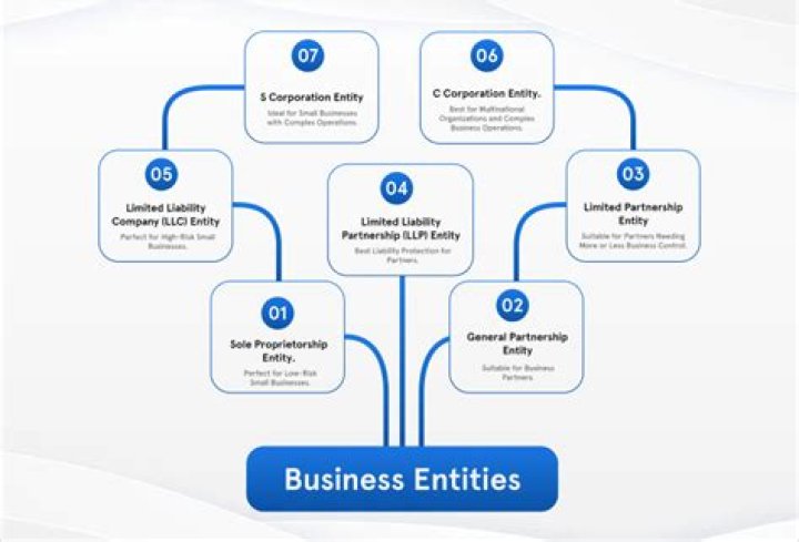 What is a LLC business entity?