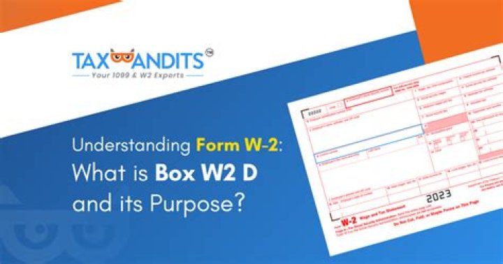 What is excluded from box 3 on w2?