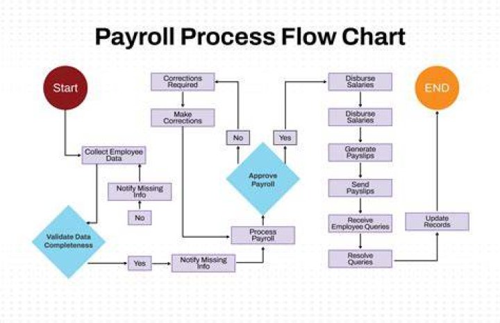 What is the payroll clerk responsibility?