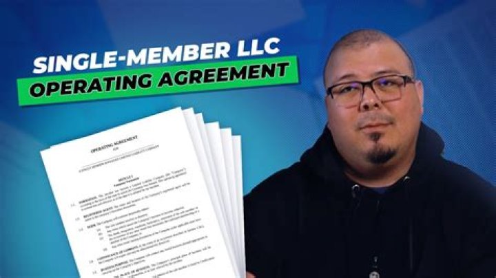 What makes a single member LLC a LLC?