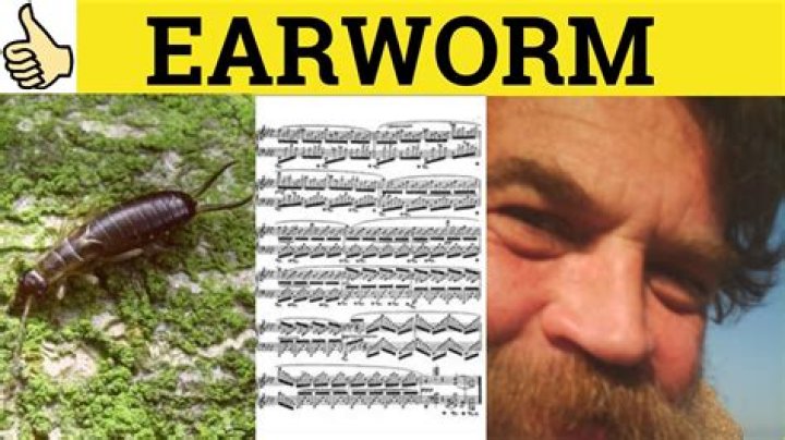 What means earworm?