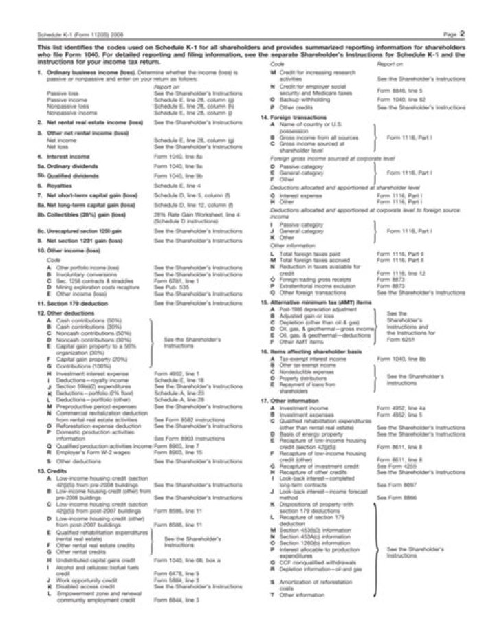 Where are the codes on the Schedule K-1?