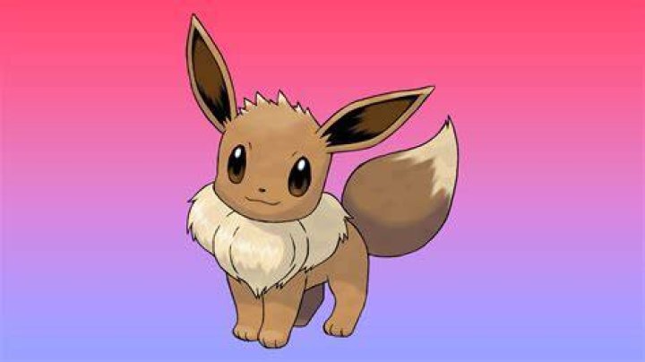 Who was Eevee's trainer?