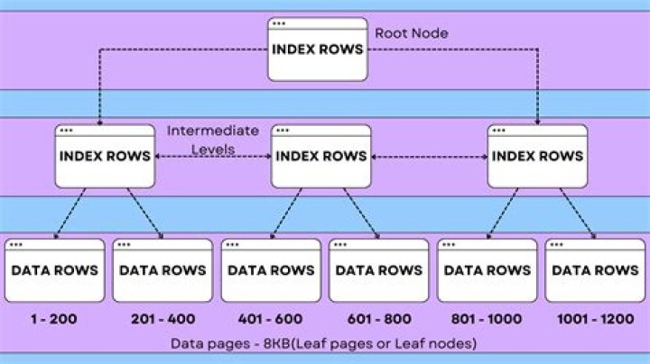 Why do we need indexes in library?