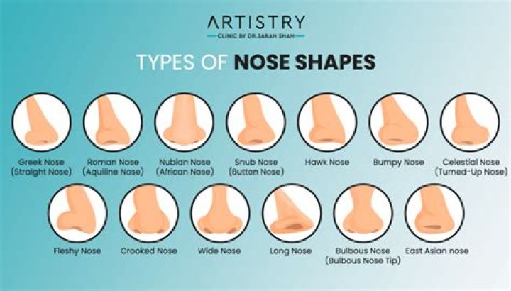 Why is Yoshis nose so big?